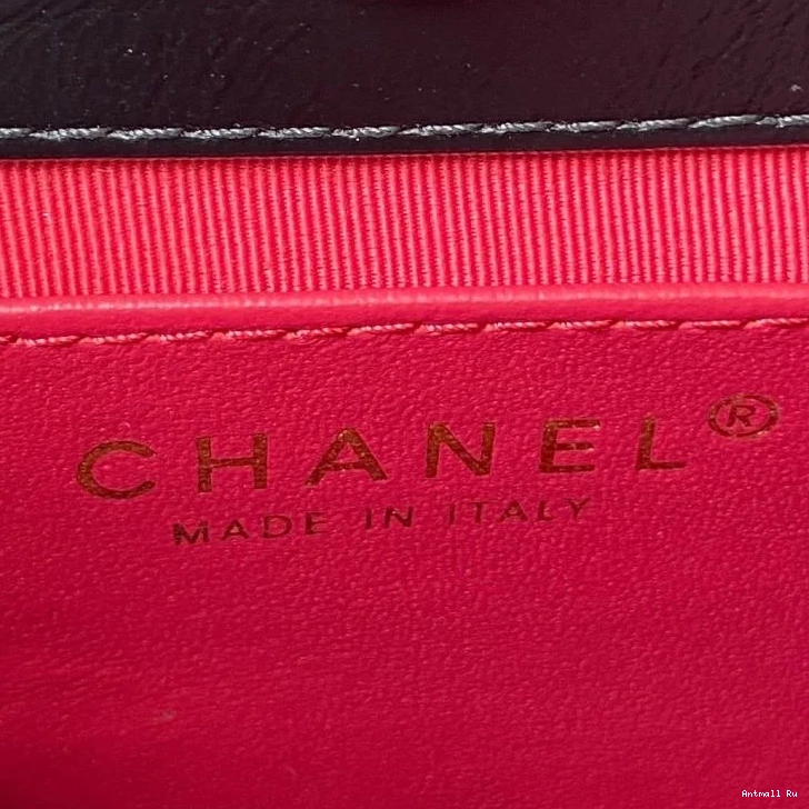 StreetReady Bags 53234 Chanel Hobo 0720